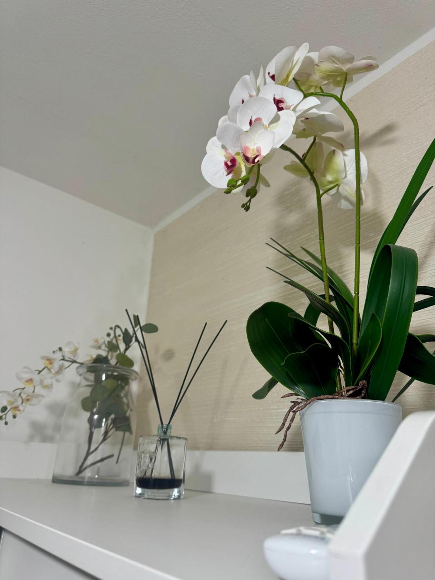 Casa Alessio - Elegante Appartamento Nel Cuore Di Cesano Maderno Eksteriør bilde